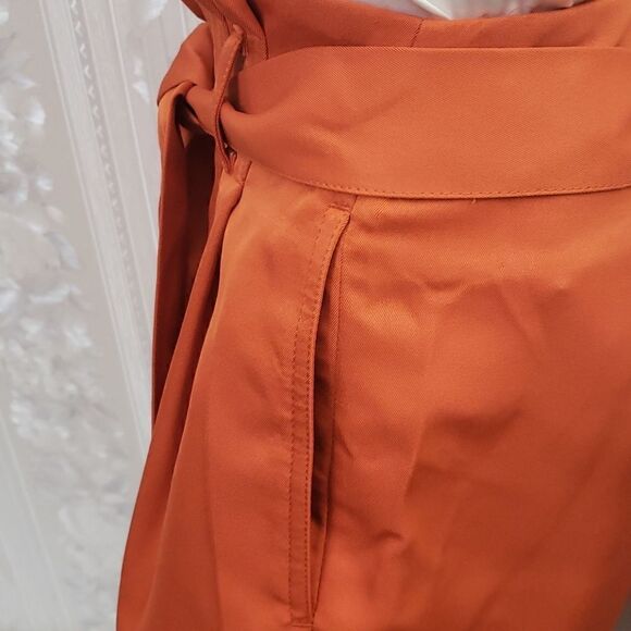 Ann Taylor Belted Shorts   - Picture 3 of 5